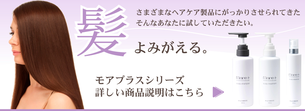 ヘアケア商品モアプラスシリーズ紹介ページへ